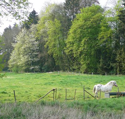 centre-st-therese-vie-quotidienne